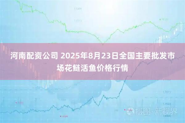 河南配资公司 2025年8月23日全国主要批发市场花鲢活鱼价格行情
