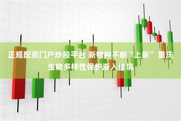 正规配资门户炒股平台 新物种不断“上新” 重庆生物多样性保护渐入佳境